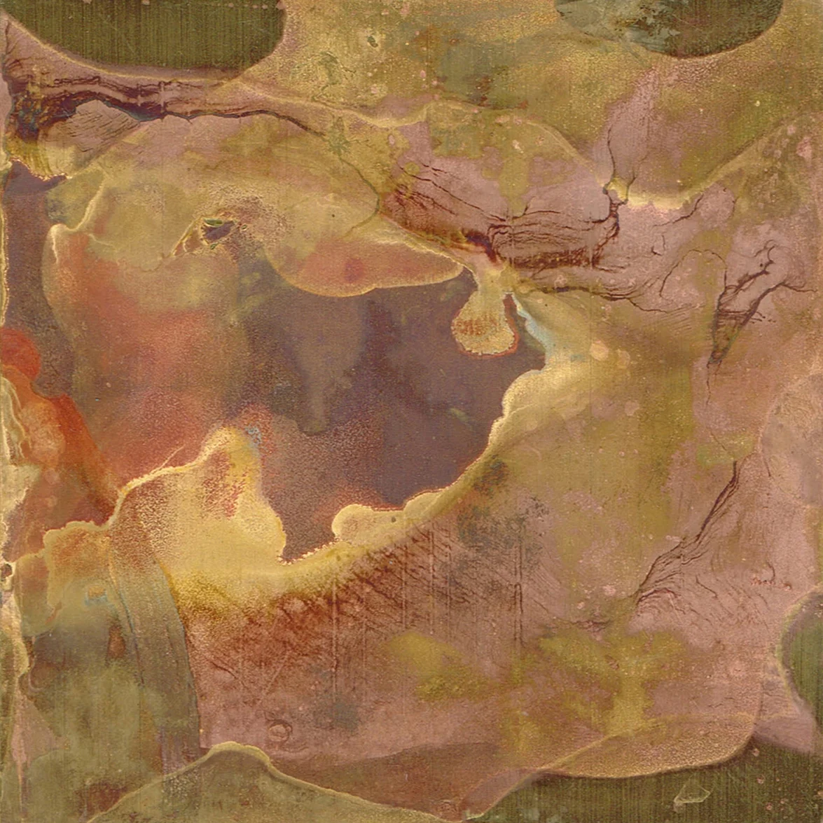 Rosa I