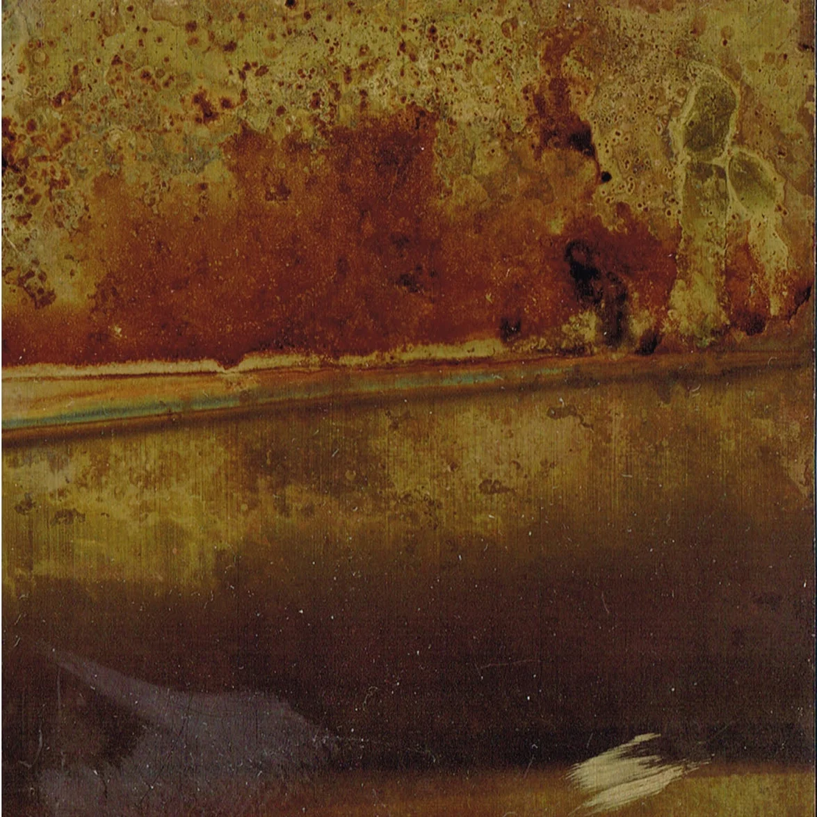 Rosa II