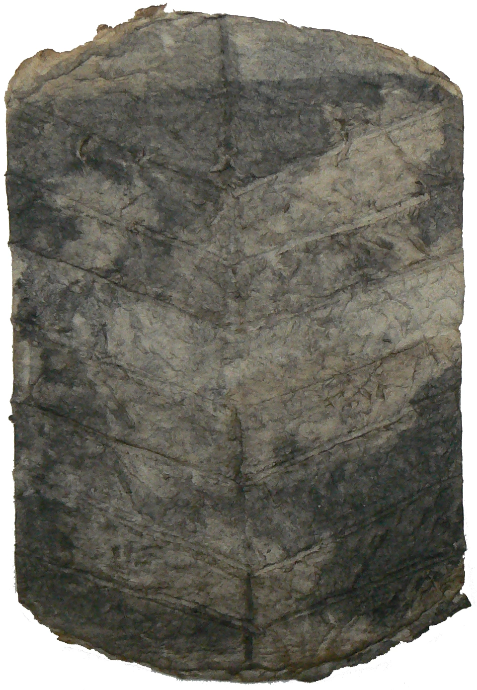 Sin título IX, cellulose pulp