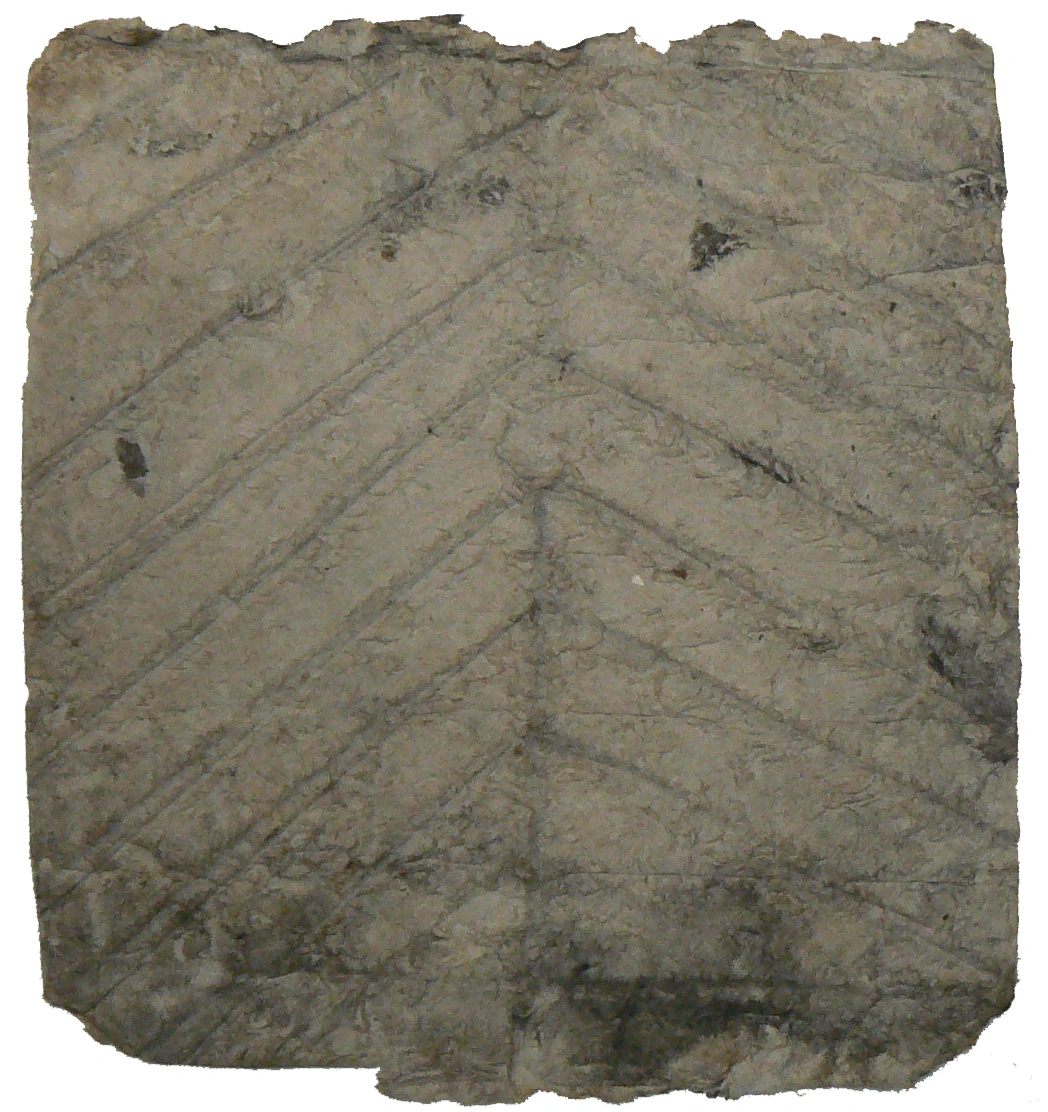 Sin título X, cellulose pulp